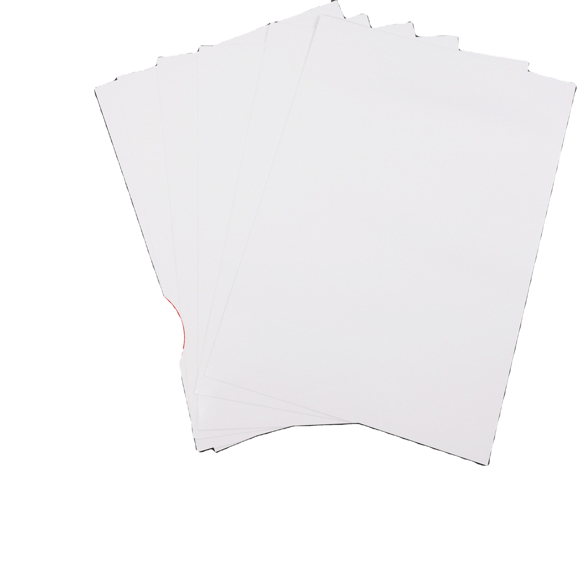 White Laminated Eco-Friendly Anti-Curl Cardboard Wrapping Paper Rolls Pallet Packed