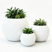 Pot de fleurs moderne classique de qualité supérieure en fibre de verre noire avec revêtement époxy, léger, durable, pour jardin, sol, vase à fleurs, décoration intérieure