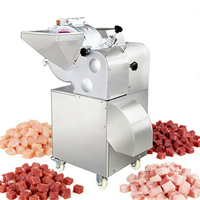 YYHB PLC-gestuurde multifunctionele machine voor het verwerken van wortelgroenten, eenmalige vormgeving van kubussen, 750W, 100KG, 1 jaar garantie