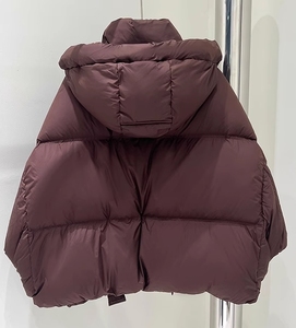Vestes de <span class=keywords><strong>Fitness</strong></span> en duvet de canard d'hiver pour femmes Style court avec col à capuche coupe-vent longues rayures bouton décoration plumes - Product Image 4