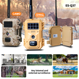 Longue durée de vie de la batterie AI 4G animaux sauvages chasse en plein air <span class=keywords><strong>cam</strong></span>éra de suivi IP66 Vision nocturne PIR détection <span class=keywords><strong>cam</strong></span>éra de chasse aux animaux - Product Image 6
