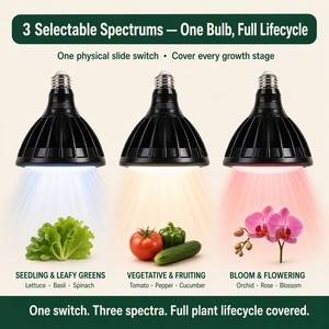 Ampoule LED de culture PAR38 24W pour jardin intérieur, E26, 2300lm 32 PPF, 3 spectres (feuillage, floraison, fruitation), minuteur intégré, 120V - Product Image 3