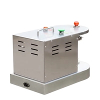Roestvrijstalen Commerciële Schilmachine Voor Fruitsinaasappel Kleine Verwerkingsmachines