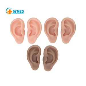 Oreilles d'entraînement <span class=keywords><strong>en</strong></span> silicone réalistes <span class=keywords><strong>3D</strong></span>, souples et réutilisables, 3 couleurs, pour la pratique du perçage et l'enseignement, conformes CE/ISO - Product Image 1