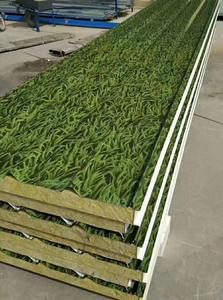 Placa de lámina recubierta de color PPGI PPGL, lámina de acero galvanizado prepintado, en bobinas - Product Image 3