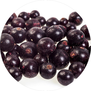 Bonne qualité IQF cassis surgelé <span class=keywords><strong>prix</strong></span> de gros en gros pour mélange de fruits OEM accueilli HALAL BRCGS bon <span class=keywords><strong>prix</strong></span> - Product Image 4