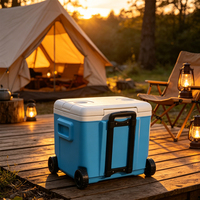 Glacière à roulettes 30L - Grande glacière isotherme portable à roulettes pour l'extérieur