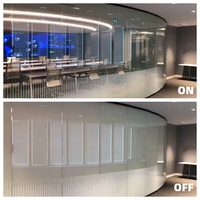 Film intelligent électrochromique premium, installation facile, design décoratif moderne, utilisation extérieure, salle de bain, cuisine