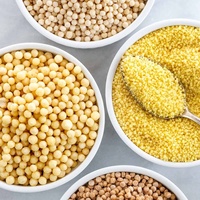 Bon prix Approvisionnement en Chine Nutrition professionnelle Ligne de production de couscous entièrement automatique