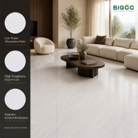 Slab Batu Sintered Anti-Slip Glossy High End 900x1800mm untuk Dinding Latar TV
