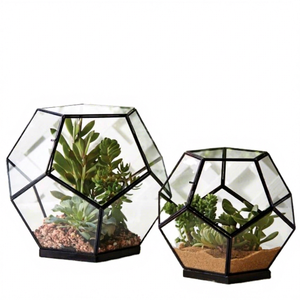 Large Glass Globe <b>Terrarium</b> <b>Kit</b>, Home and Living, Beach <b>Terrarium</b> wholesale geometric Desktop Sphere - Product Image 4