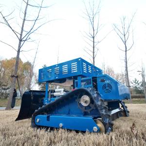 Cortadora de Césped Robusta de 550 mm con Certificación CE y Estante de Almacenamiento para Viveros Comerciales, Jardines Botánicos y Arbóreteros Públicos - Product Image 6