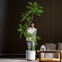 Arbre artificiel de designer Mimosa Albizia, feuillage plumeux, grand modèle d'intérieur, pot blanc côtelé, décoration contemporaine, vente en gros
