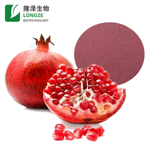 Cibo supercibi estratto <span class=keywords><strong>di</strong></span> frutta <span class=keywords><strong>melograno</strong></span> in polvere OEM per frullati antiossidanti semi selvatici buccia bottiglia 1kg - Product Image 4