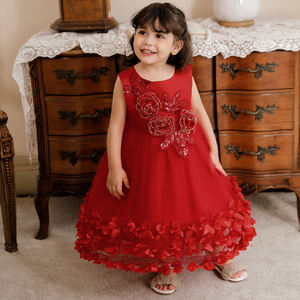 Vestido de Princesa para Niñas, Diseño de Vestido de Fiesta con Flores Bordadas, Vestidos de Bautizo para Bebés - Product Image 5