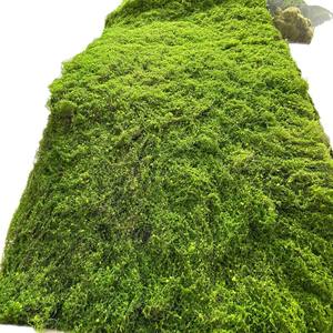 K-0265 mariage décoration herbe <span class=keywords><strong>gazon</strong></span> artificiel jardin décoratif Faux herbe tapis décor à la maison mousse artificielle - Product Image 1