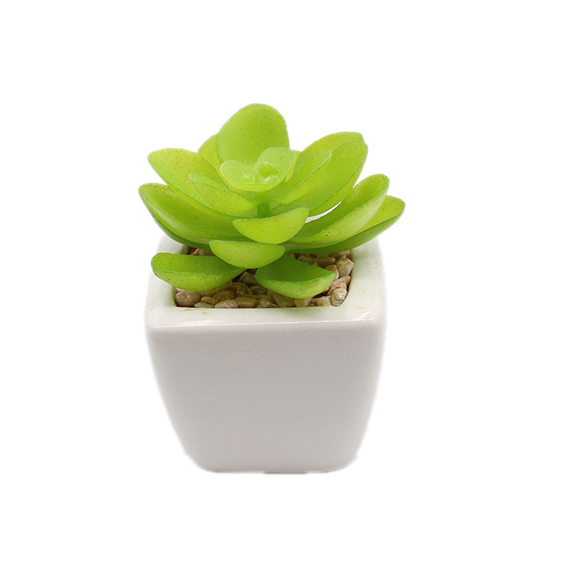 PA01-29   พีเอ01-29