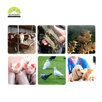 La poudre nutritionnelle de levure de brasseur d'additifs d'alimentation des animaux de levure séchée par brasseur favorisent sain et la croissance CAS 8013