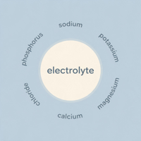 Capsules d'électrolytes pour adultes OEM pour la gestion de l'énergie et la croissance musculaire