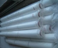 Cartouche filtrante plissée à membrane à pores micrométriques PP PES PTFE 1000L/heure 0,72kg pour le traitement de l'eau