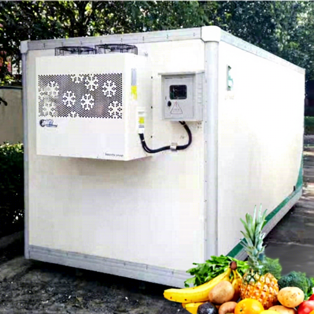 Refrigeration Equipments Storage Cold Room Price Room Refrigerator