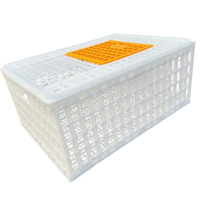 Jaula de Transporte de Animales Vivos para Granjas Avícolas, Tamaño Grande 750*550*320mm, Color Naranja, Jaulas de PP para Transporte de Pollos Vivos - Product Image 2