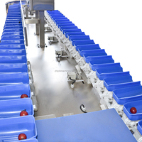 Automatische weeg-, selectie- en sorteermachine voor kersen, groenten, fruit en noten met draaischijf en hoge precisie.