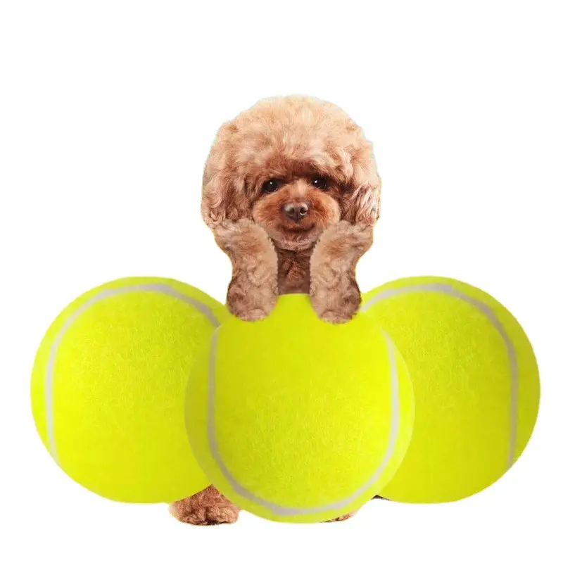 Pallina da tennis del giocattolo dell'animale domestico del cane rotondo interattivo durevole moderno all'aperto per la palla da addestramento