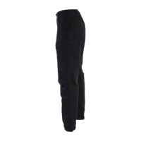 Pantalon cargo extensible coupe-vent et imperméable pour homme, idéal pour la chasse et la randonnée en extérieur