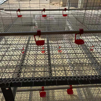 Cage à poulets en batterie empilable à assemblage facile, en treillis métallique, pour l'élevage commercial de poulets de chair