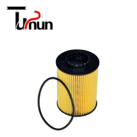 Filtre à huile de haute qualité TS HU8009z pour Cayenne II (92A) Skoda Superb II (3T) VW CC (358) Audi/Seat/Skoda/VW 2000-2004 1 an