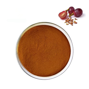 Naturel 95% OPC Procyanidins B2 Poudre Extrait <span class=keywords><strong>De</strong></span> Pépins <span class=keywords><strong>De</strong></span> Raisin Fruit Pur <span class=keywords><strong>De</strong></span> Qualité Alimentaire dans Un Sac En Aluminium - Product Image 1