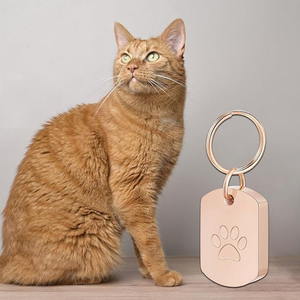 Perhiasan Kenangan Hewan Peliharaan, Peti Mati & Guci Hewan Peliharaan Portabel untuk Pemakaman, Grosir Guci Abu Hewan Peliharaan, Aksesoris Gantungan Kunci untuk Anjing dan Kucing - Product Image 5