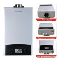 Chauffe-eau à gaz de type chaudière à température constante de haute qualité, chauffe-eau plus grand