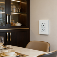 Prise murale intelligente Wi-Fi Pd20W avec contrôle à distance par application pour la maison, le bureau, l'hôtel, la chambre à coucher, le salon, prise intelligente