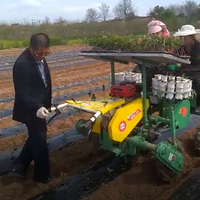 Machine à planter des plants d'ananas végétal machine à transplanter les oignons