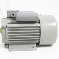 Moteur à condensateur monophasé double valeur série YL90L-2 durable, 100 % fil de cuivre, longue durée de vie, haute qualité pour pompes et ventilateurs