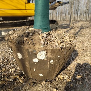 RW-2050 - Product Image 2