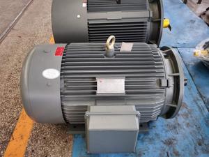 33KW, Ring Induction Motor - Product Image 5
