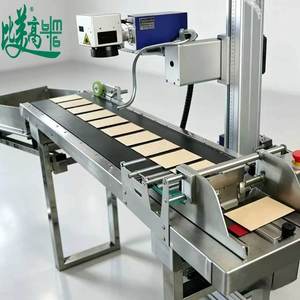Fully Automatic Paging Convey UV Laser Marking Machine with Separation Feeding Module for Plastic Film <b>Bag</b> Batch Coding - Product Image 3