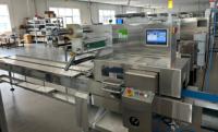 Máquina de Envasado Horizontal Multifuncional Tipo Almohada con Control Servo RHZRL430 para Pan, Galletas, Jabón y Cubiertos
