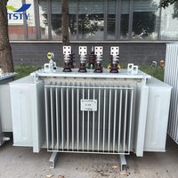 Transformateur immergé dans l'huile triphasé en alliage amorphe TSTY 30 50 630 100 800 2500 KVA 11kV/400V 50/60Hz
