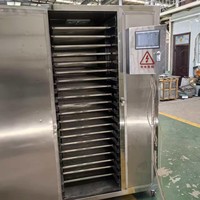 Fabrikant van kleine elektrische fruit- en groente-droogmachines voor de voedselverwerking