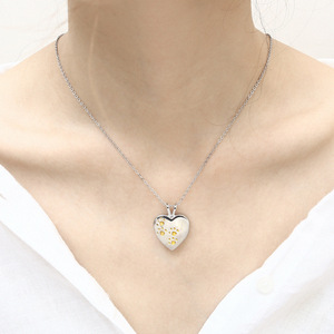 Pet <b>Ash</b> Memorial Stainless Steel Pet Paw Pet Cremation Jewelry Memorial <b>Ashes</b> Keepsake Urn <b>Necklace</b> - Product Image 6