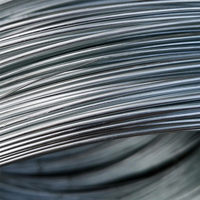 Câble métallique en acier inoxydable SS316, vente en gros, économique et de haute qualité