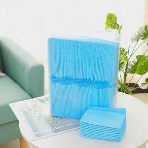 Einweg-Haustier-Urinmatten Geruchskontrolle Saugfähige Welpen-Trainingsmatte Wasserdichte Hunde-Toilettenmatte für Innenräume - Product Image 2