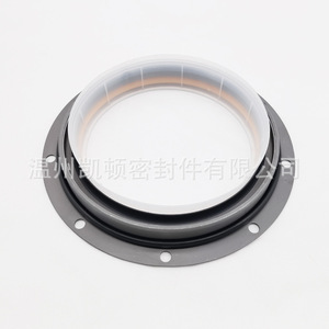 Joint d'étanchéité de vilebrequin Caterpillar 285-4073 PTFE Avant Arrière Moteur Application Marine - Product Image 4