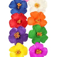 Accessoires pour cheveux Plumeria en plastique transfrontalier Hibiscus fleur hawaïenne mariage Corsage chapeaux fleurs séchées