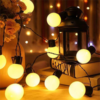 Guirlande lumineuse à LED en forme de boules de verre, alimentée par piles, lumières de Noël, pour chambre à coucher, camping, arbre de Noël, éclairage festif, lumières décoratives