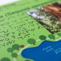 Panneau de bois extérieur personnalisé panneau de signalisation de parc affichage 3D relief aveugle braille UV Durable impression symbole graphique carte signes